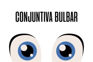 Conjuntiva bulbar
