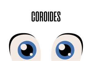 Coroides