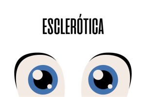 Esclerótica