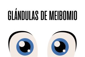 Glandulas de Meibomio