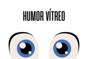 Humor vítreo