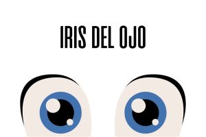 Iris del ojo