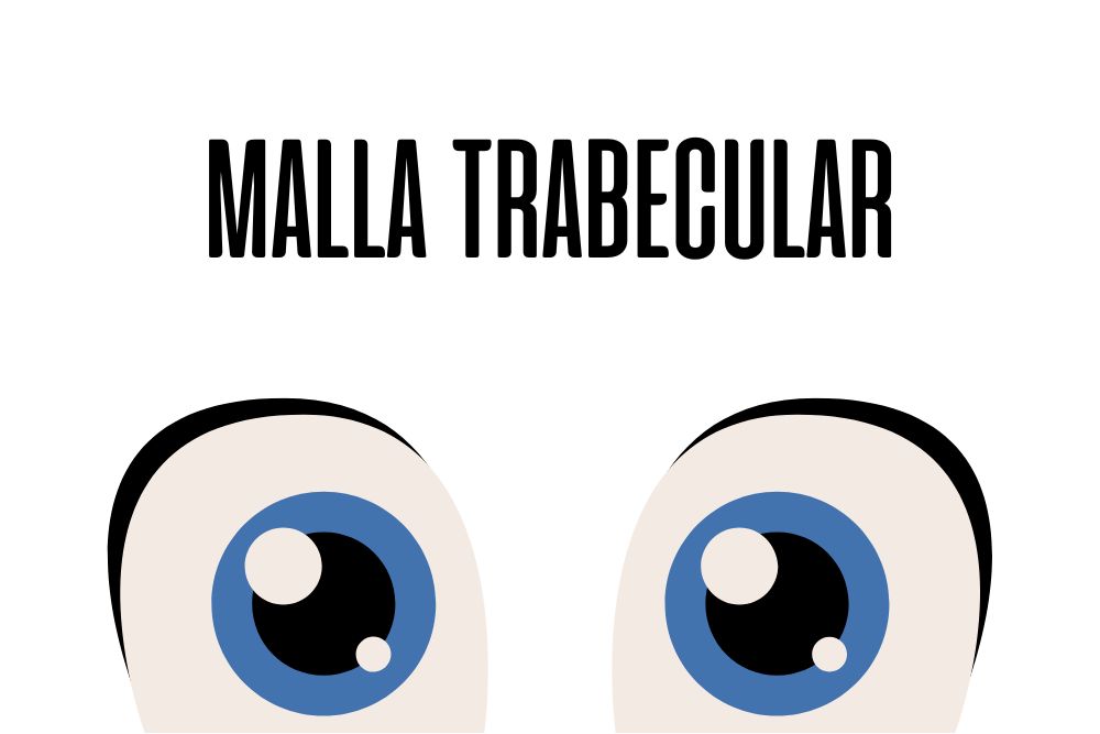 Malla trabecular del ojo / Ojopedia