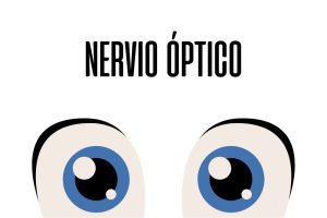 Nervio óptico