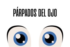 Párpados