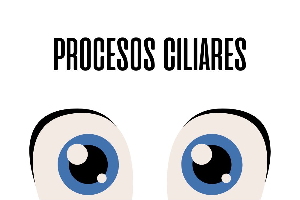 procesos ciliares / Ojopedia