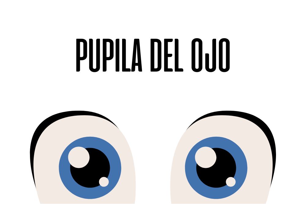 Pupila del ojo / Ojopedia