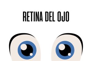 Retina del ojo