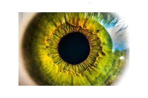 Hablar de iridología: Conoce el arte de leer el iris