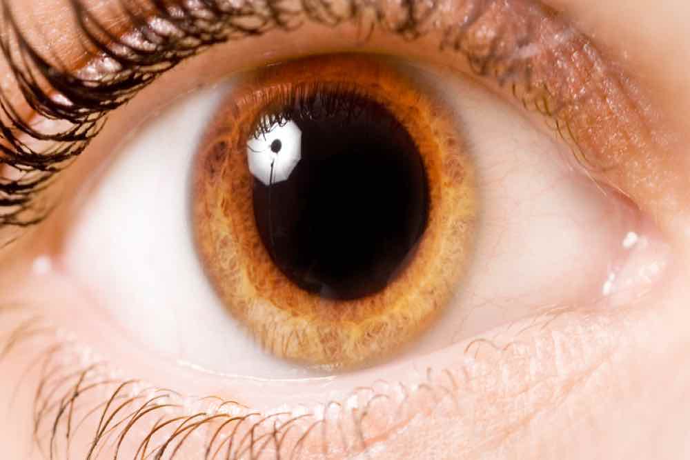 Pupila del ojo dilatada