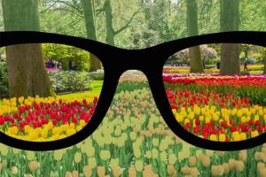 Gafas para daltonismo: la solución para ver la vida en colores