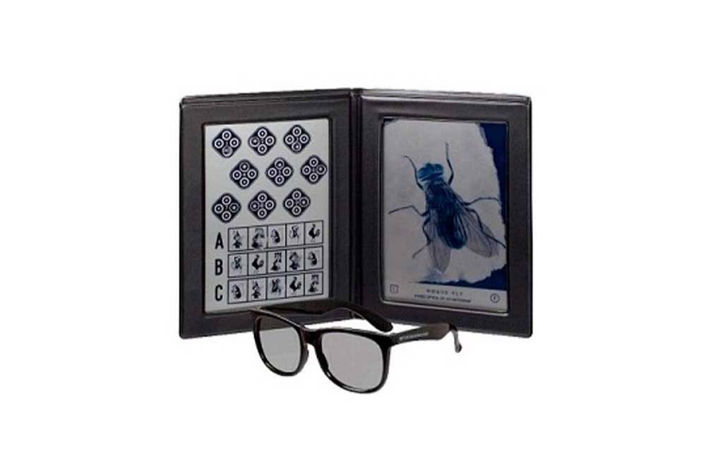 Test de la mosca en optica