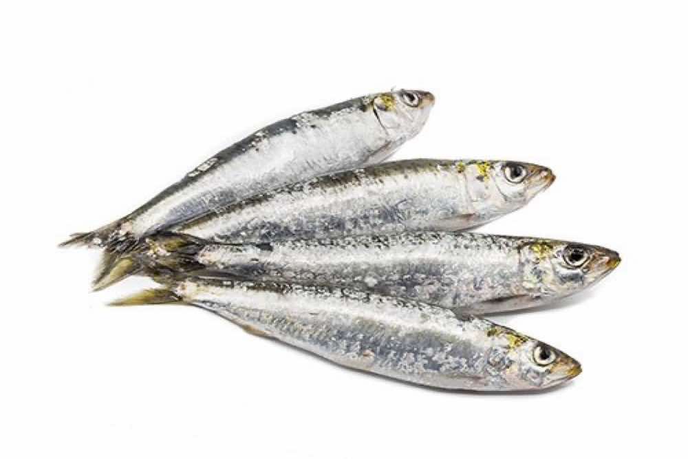 4 sardinas