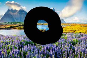 ¿Qué alteraciones se pueden tener en el campo visual?