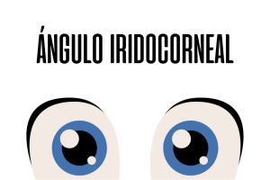 Ángulo iridocorneal
