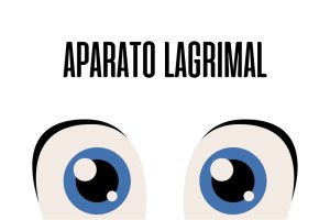 Aparato lagrimal