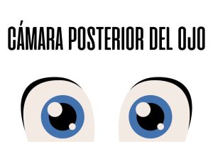 Cámara posterior del ojo