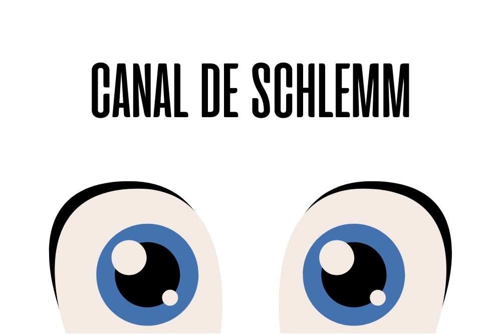 Canal de Schlemm / Ojopedia