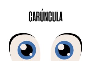 Carúncula