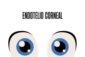 Endotelio corneal