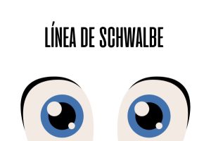 Línea de Schwalbe