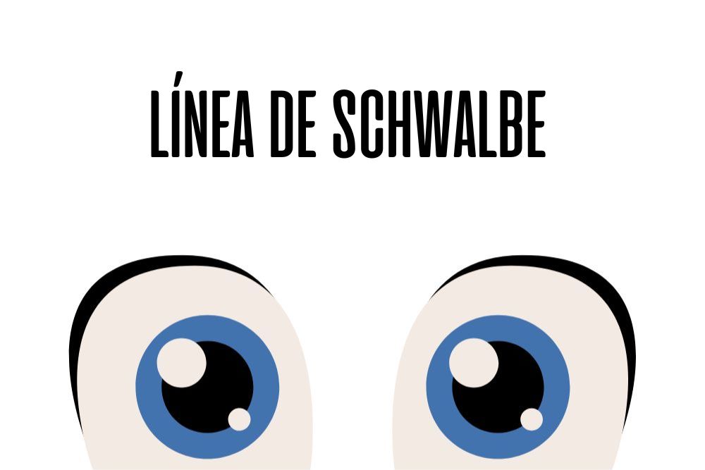 Línea de Schwalbe / Ojopedia