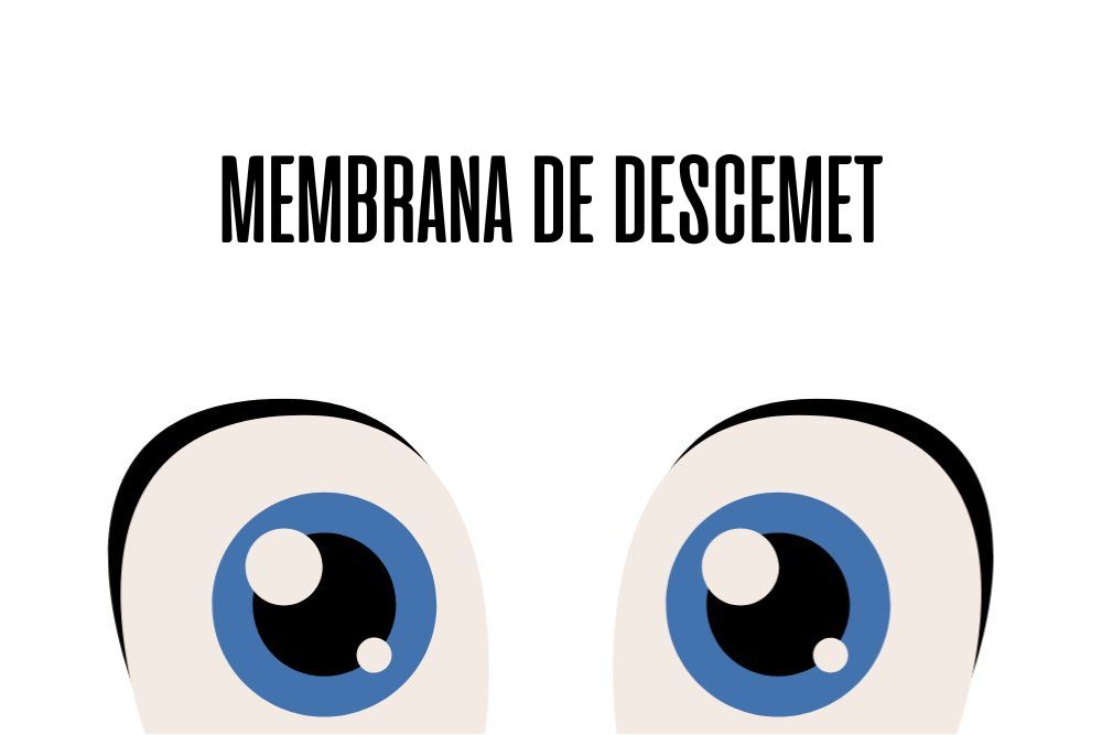 Membrana de Descemet / Ojopedia