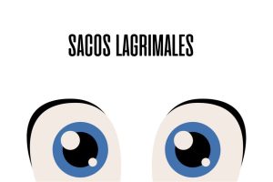 Sacos lagrimales