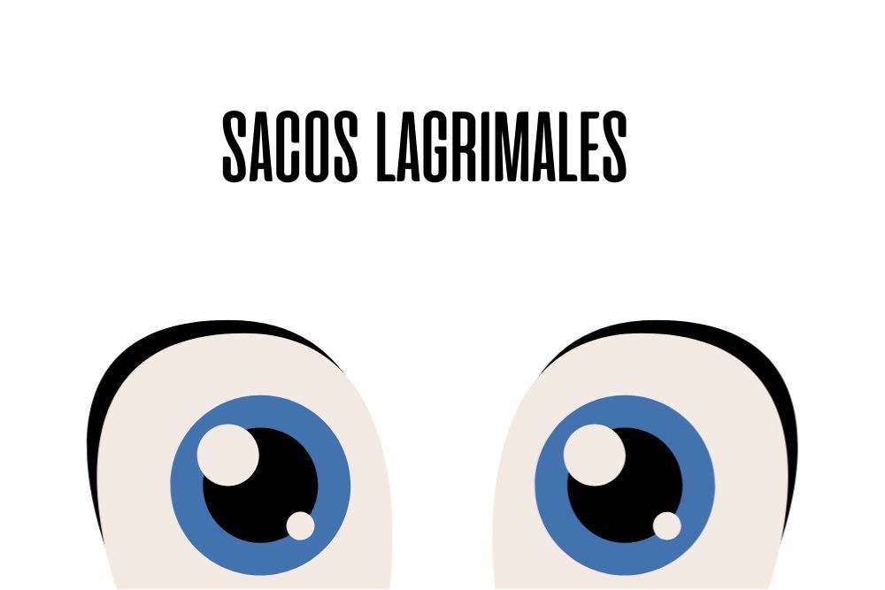 Sacos lagrimales / Ojopedia