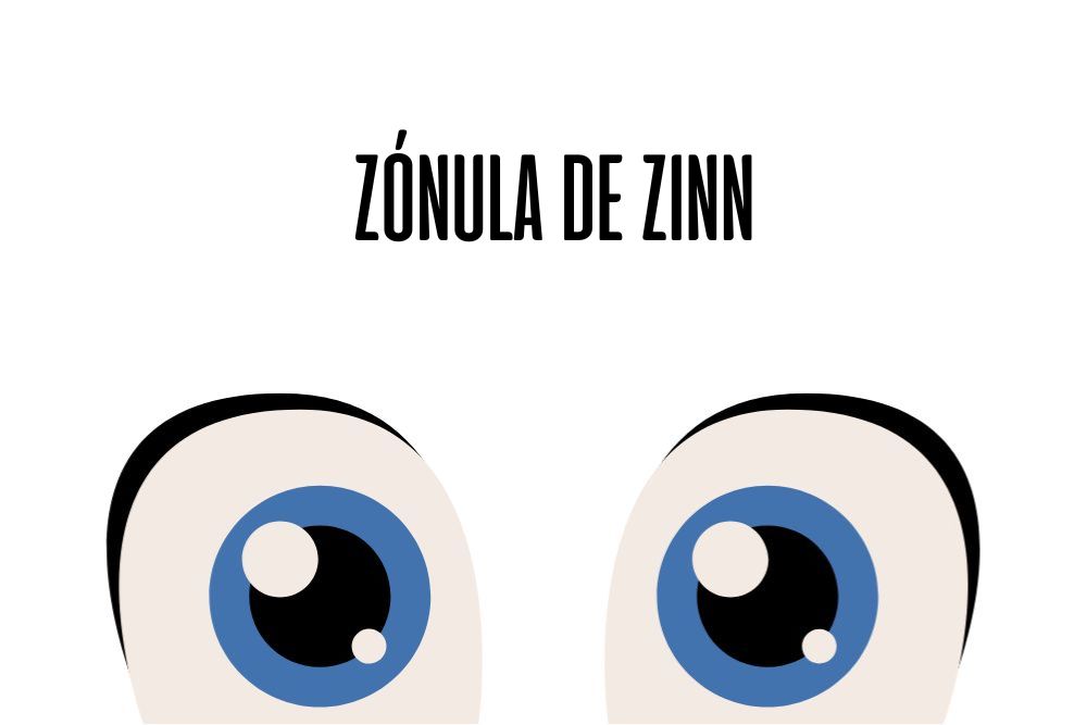 Zónula de Zinn / Ojopedia